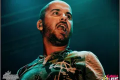 20160311133834-zklcja37dxuaz4j1rxqxw13faiuuum