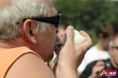 20160311133846-m7pledu8kk9ld4kl335j6nhyt2evl7